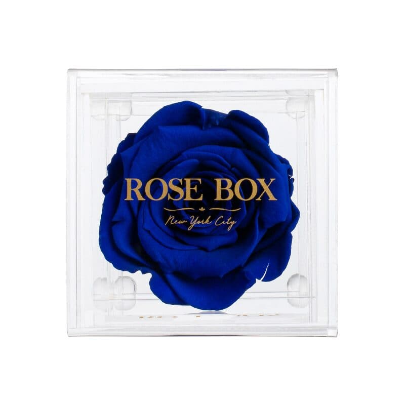 Single Night Blue Rose Jewelry Box