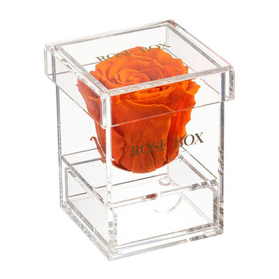 Single Autumnal Orange Rose Jewelry Box