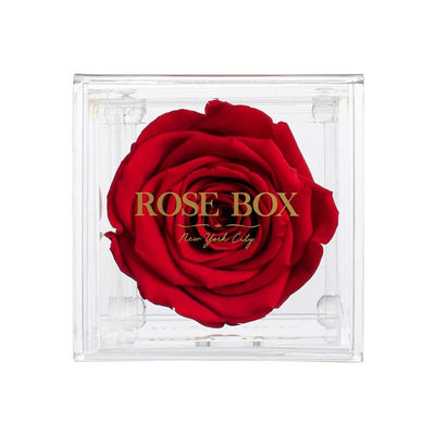 Single Red Flame Rose Jewelry Box
