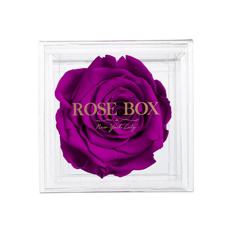 Single Royal Purple Rose Jewelry Box