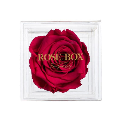 Single Ruby Pink Rose Jewelry Box