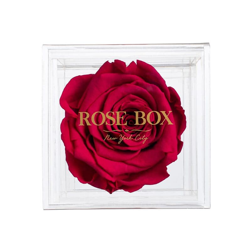 Single Ruby Pink Rose Jewelry Box (Voucher Special)