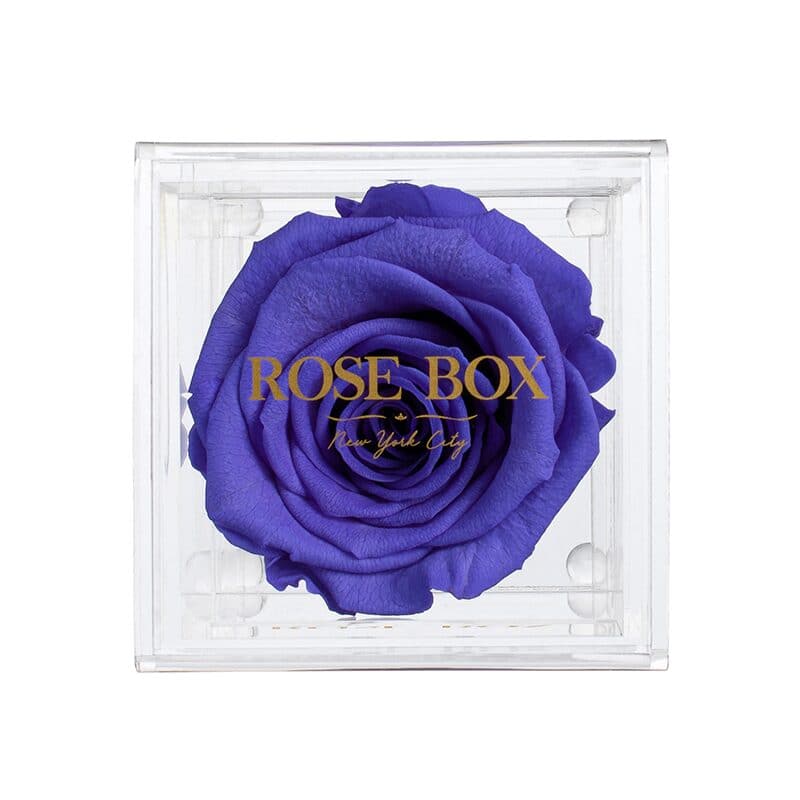 Single Spring Purple Rose Jewelry Box