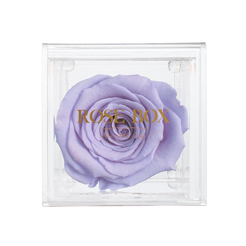Single Violet Rose Jewelry Box (Voucher Special)