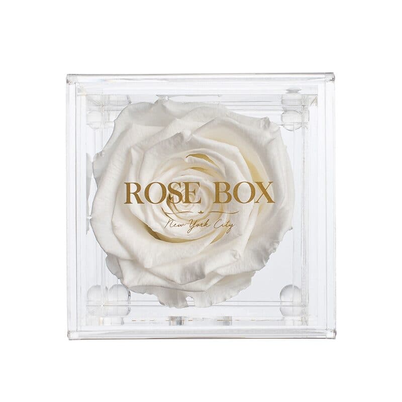 Single Pure White Rose Jewelry Box (Voucher Special)