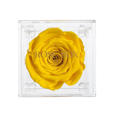 Single Bright Yellow Rose Jewelry Box (Voucher Special)