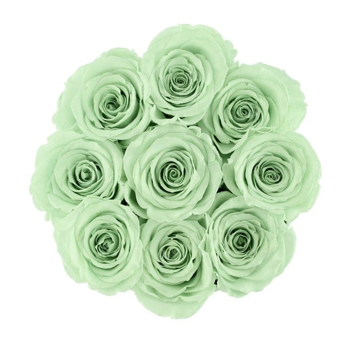 Small White Box with Light Green Roses (Voucher Special)