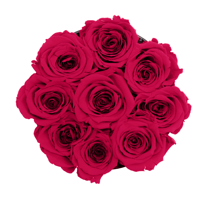 Small White Box with Ruby Pink Roses (Voucher Special)
