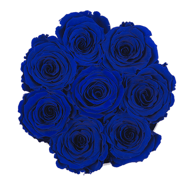 Small White Box with Night Blue Roses (Voucher Special)