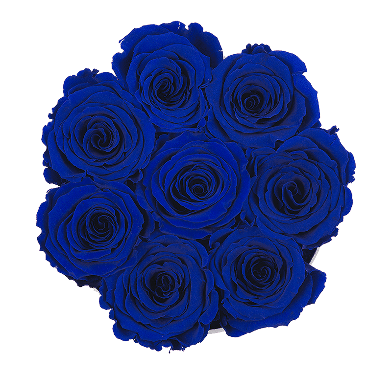 Small Black Box with Night Blue Roses (Voucher Special)