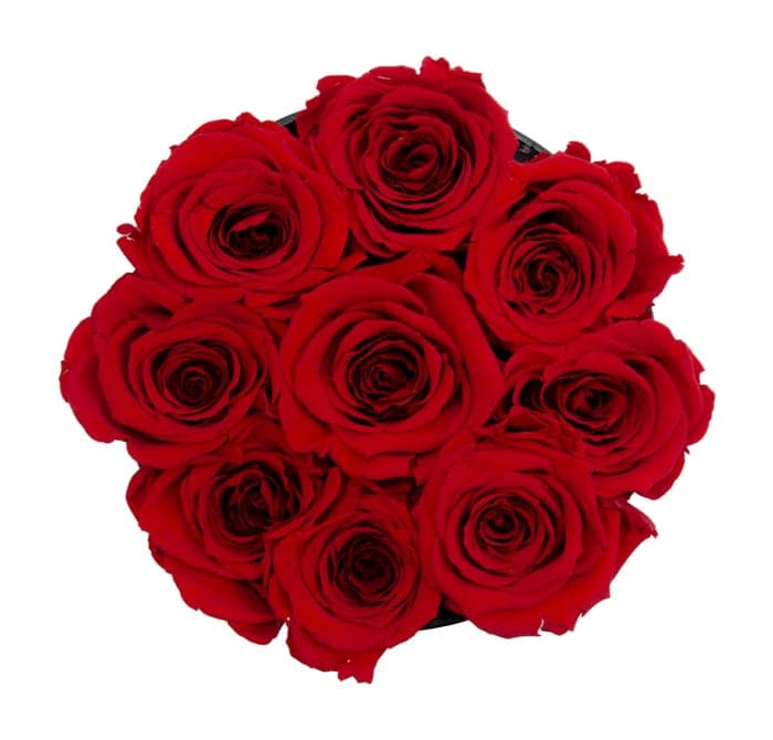 Small Black Box with Red Flame Roses (Voucher Special)