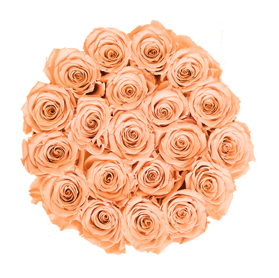 Medium Black Box with Sorbet Peach Roses (Voucher Special)