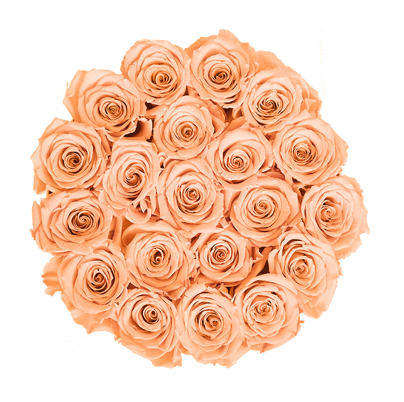 Medium White Box with Sorbet Peach Roses
